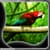 Newest Parrot Live Wallpapers