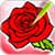 Popular Roses Coloring Book