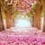 Love Path Live Wallpaper
