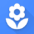 Flower HD wallpaper