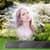 Blossom Flowers Photo Frames New