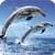 Dolphin Sounds