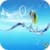 Beautiful Water Fish HD Wallpaper