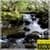 Nature Video Live Wallpaper