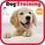 Training for Dog