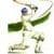 T20 cricket premier league