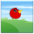 Flapping Assassins