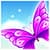 Nice Butterfly Coloring Book