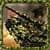Tank Fling