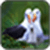 Birds Wallpaper_1