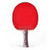 Ping Pong Babez