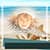 Blue Marine Photo Frames