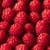 Raspberries Live Wallpaper 2