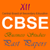 12th cbse business studies previous years papers
