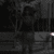Dream in Sanitarium