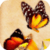 Colorful Butterflies Live Wallpaper