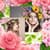 Flowers Photo Collage