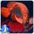 3D Arowana Live Wallpapers