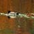Nature Live Wallpaper 168