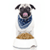 Dieting Your Dog App