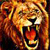 Lion - The King