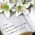 Love Quote Live Wallpaper