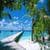 Beautiful Beach Live Wallpaper
