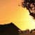 Nature Live Wallpaper 137