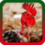 Crazy Hen Ringtones