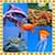 Popular Sea Creatures Collage