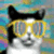 EXTREME PSYCHEDELIC KITTY LWP