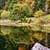 Autumn Lake View Live Wallpaper 2