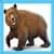 Kids Bear