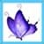 Kids Butterfly