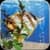 My Fish Aquarium