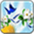 Butterfly Image_1