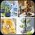 Step by Step Cooking