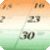 Indian Calendar 2010