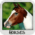Horses Wallpapers by Nisavac Wallpapers