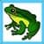 Kids Frog