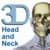 Skeletal System (Head and Neck)