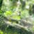 Nature Live Wallpaper 143