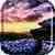 Time Lapse Nature Live Wallpaper