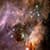 Amazing Stars Live