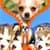 Puppy Zipper Lock Screen Top