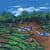 Most Natural Village 2015