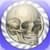 Speed Bones Lite (Quiz)