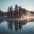 Forest around the world 4K غابات