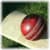 Cricket Wallpaper
