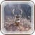 Wildlife Safari